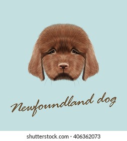 Vector Illustrated portrait of Newfoundland puppy. Cute fluffy red face of domestic dog on blue background.