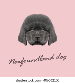 Vector Illustrated portrait of Newfoundland puppy. Cute fluffy black face of domestic dog on pink background.