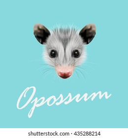 Vector Illustrated Portrait of Opossum. Cute fluffy face of Opossum on blue background.