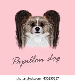 Vector Illustrated Portrait of Papillon dog. Cute fluffy face of Continental Toy Spaniel dog on pink background.