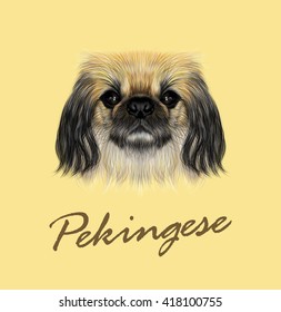 Vector Illustrated Portrait of Pekingese Dog. Cute face of Peking Lion Dog on yellow background.