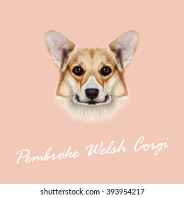 Vector illustrated portrait Pembroke Welsh Corgi Dog. Cute red dog  face on pink background