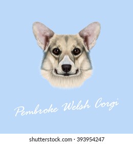 Vector illustrated portrait Pembroke Welsh Corgi Dog. Cute grey dog face on blue background