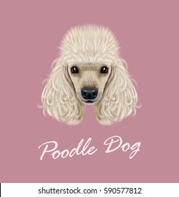 Vector illustrated Portrait of Poodle dog. Cute face of domestic breed dog on pink background.