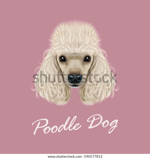 落書き風犬のベクター画像イラストポートレート ピンクの背景にかわいい国産犬の顔 のベクター画像素材 ロイヤリティフリー