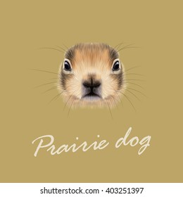 Vector Illustrated Portrait of Prairie dog. Cute face of meadow Rodentia animal on beige background.