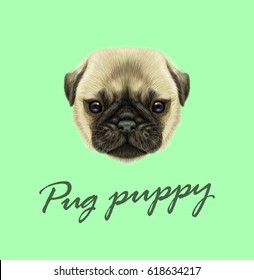 Vector Illustrated portrait of Pug puppy. Cute fluffy fawn face of domestic dog on green background.