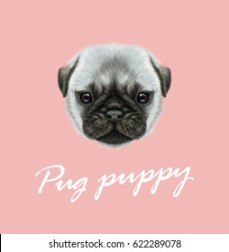 Vector Illustrated portrait of Pug puppy. Cute fluffy silver face of domestic dog on pink background.