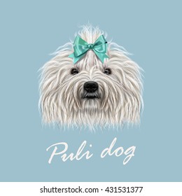 Vector Illustrated Portrait of Puli dog. Cute curly white  face of domestic dog on blue background.