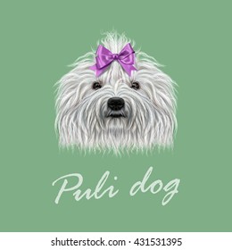 Vector Illustrated Portrait of Puli dog. Cute curly white  face of domestic dog on green background.