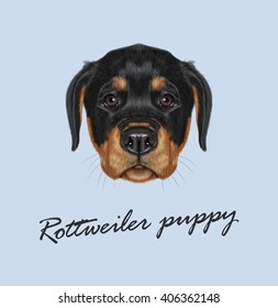 Vector Illustrated portrait of Rottweiler puppy. Cute face of domestic dog on blue background.