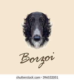 Vector Illustrated portrait of Russian Borzoi dog. Cute face of black greyhound domestic dog ob yellow background.