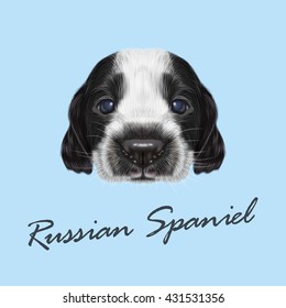 Vector Illustrated portrait of Russian Spaniel Puppy. Cute bicolor face of domestic puppy on blue background.