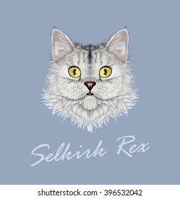 Vector Illustrated portrait of Selkirk Rex cat. Cute face of cute domestic cat on blue background.