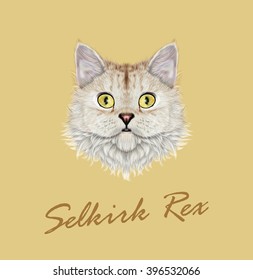 Vector Illustrated portrait of Selkirk Rex cat. Cute face of cute domestic cat on yellow background.