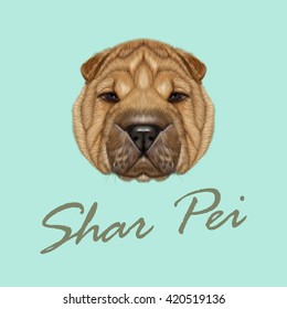 Vector Illustrated Portrait of Shar Pei dog. Cute red wrinkly face of domestic dog on blue background.