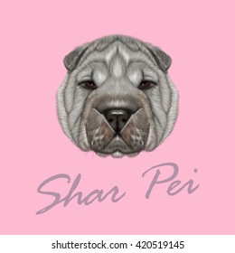 Vector Illustrated Portrait of Shar Pei dog. Cute silver wrinkly face of domestic dog on pink background.