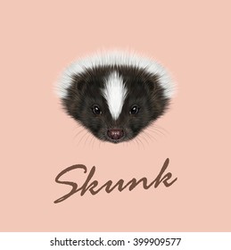 Vector Illustrated Portrait of Skunk. Cute face of Striped skunk on pink background.