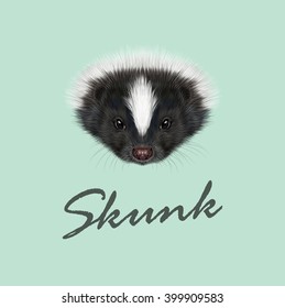 Vector Illustrated Portrait of Skunk. Cute face of Striped skunk on green background.