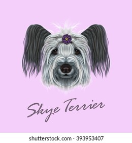 Vector illustrated Portrait of Skye Terrier. Cute face of dog on pink background.