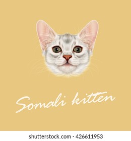 Vector Illustrated portrait of Somali kitten. Cute fluffy face of domestic cat on yellow background.