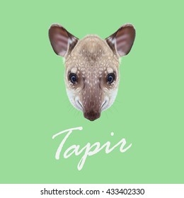 Vector Illustrated Portrait of Tapir. Cute face of young wild Tapir on green background.