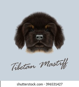 Vector Illustrated Portrait of Tibetan Mastiff puppy. Cute face of black domestic dog on blue  background