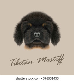 Vector Illustrated Portrait of Tibetan Mastiff puppy. Cute face of black domestic dog on beige background