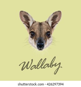 Vector Illustrated Portrait of Wallaby. Cute face of wild Australian mammal Wallaby on yellow background.