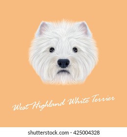 Vector Illustrated Portrait of West Highland White Terrier. Cute fluffy white face of  domestic dog on peach background.
