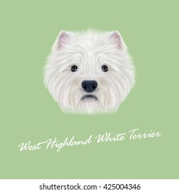 Vector Illustrated Portrait of West Highland White Terrier. Cute fluffy white face of  domestic dog on green background.