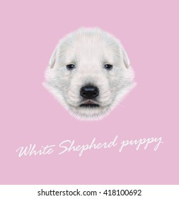 Vector Illustrated Portrait of White Shepherd Puppy. Cute face of white Dog on pink background