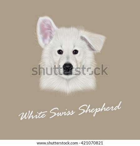 Vector Illustrated Portrait of White Swiss Shepherd dog. Cute white fluffy face of domestic puppy on beige background.