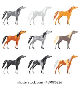Vector illustrated Set of colorful  horses
