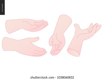 The vector illustrated set of outlined hand drawn hands with various gestures