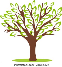 Vector illustrated tree with beautiful green leafs.