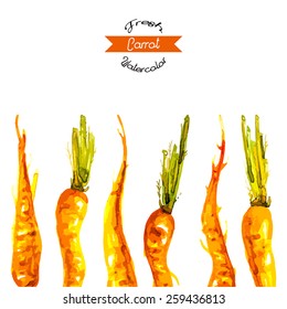 Vector illustrated watercolor carrots background