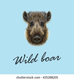 Vector Illustrated of Wild boar.  Formidable face of wild pig on blue background.