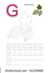 Vector illustrated worksheet to preschool children learn handwriting. Page to be traced for gaming and education with easy educational kid game level. Tracing worksheet for letter G. Goose berry.