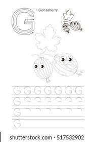 Vector illustrated worksheet to preschool children learn handwriting. Page to be traced for gaming and education with easy educational kid game level. Tracing worksheet for letter G. Gooseberry.