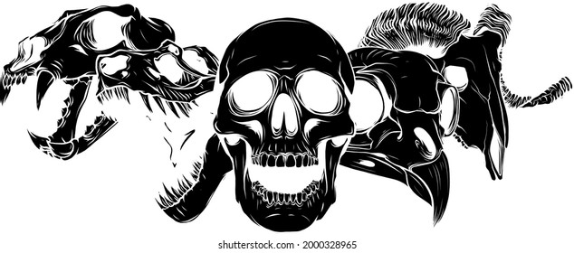 vector illustratio animal skull art design