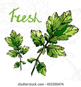 Vector illustratio of green twig. High detailed illustration