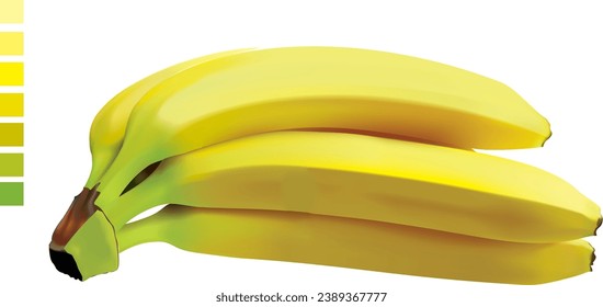 ilustración vectorial de 1 racimo de plátanos amarillos