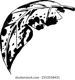 Vector illustration of 1 shriveled leaf