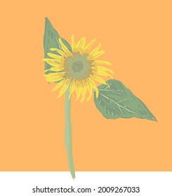 Vektorgrafik von 1 Sonnenblume und ihren 2 Blättern