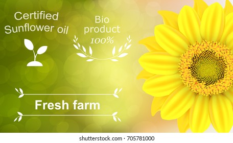 Vector illustration of a 100% natural certified sunflower oil background. Ready objects, elements with agriculture theme for your flyer, banner, infographics, poster, advertisement, greeting card. 