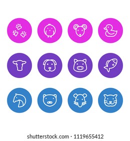 Vector illustration of 12 animal icons line style. Editable set of mink, pet, rat and other icon elements.