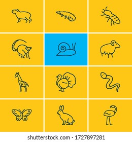 Vector illustration of 12 animals icons line style. Editable set of thermit, lemur, butterfly and other icon elements.