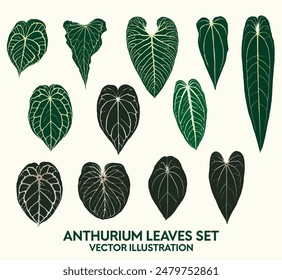 Vector illustration of 12 Anthurium single leaves sets, graphic elements, dark green botanical foliage, indoor plants