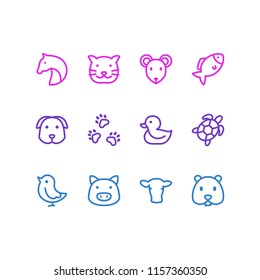 Vector illustration of 12 fauna icons line style. Editable set of chicken, cow, pet and other icon elements.
